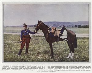 Brigadier des chasseurs d