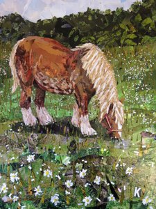 Cheval sur la colline