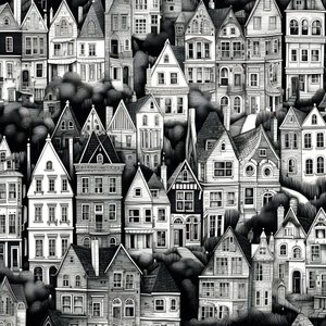 une image en noir et blanc des maisons 3
