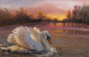 Cygne au lever du soleil, 2016