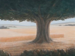 Arbre, Holwell, 2012