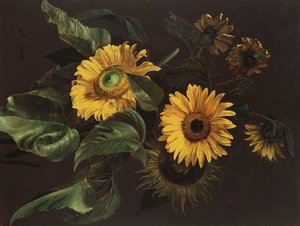 Tournesols, 1839