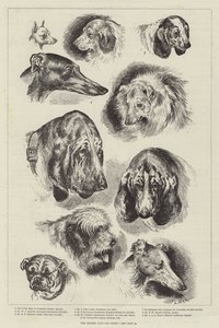 Exposition canine du Kennel Club