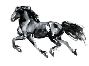 Frison volant, 2015