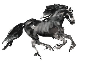 Galop, 2015