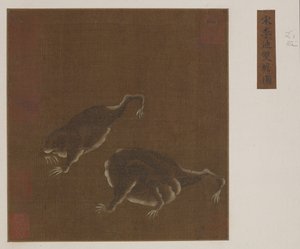 Une paire de crapauds à trois pattes