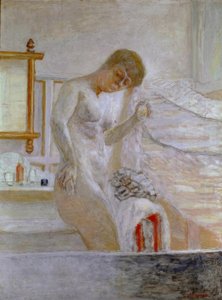 Nu debout à la toilette