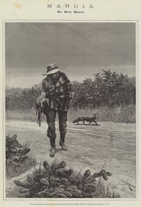 Maruja, par Bret Harte