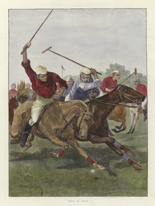 Polo en Inde