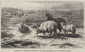 Moutons dans un paysage, Bretagne