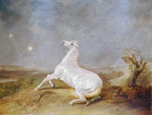 Cheval fou