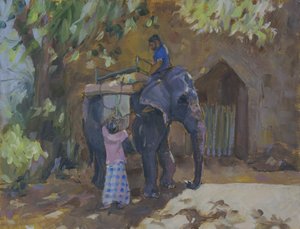 Éléphant, Sri Lanka, 2015