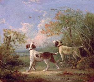 Épagneuls dans un paysage