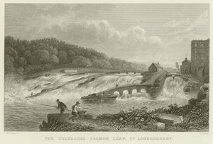 Le saut du saumon de Coleraine