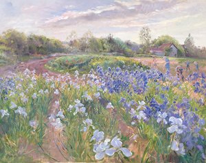 Éclat de soleil sur des iris, 1996