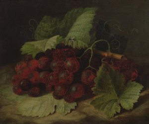 Nature morte de raisins