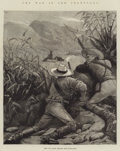 La guerre au Transvaal
