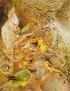 Volière, 1871
