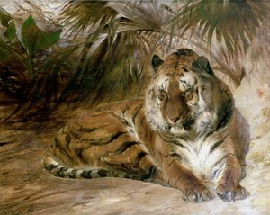 Tigre