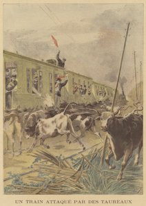 Un train attaqué par des taureaux