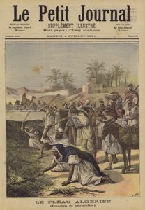 La peste algérienne