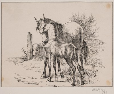 Le cheval et le poulain - Johan Adolph Kittendorff