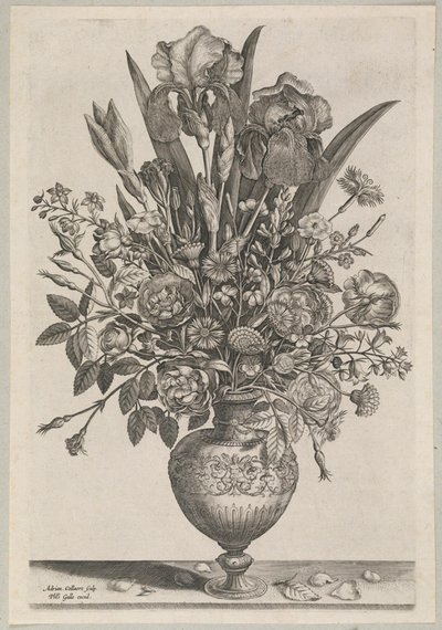 Pièce florale avec iris - Adriaen Collaert