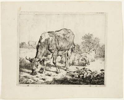 Taureau broutant et trois moutons - Adriaen van de Velde