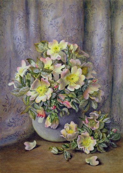 Nature Morte de Roses - Agnes Louise Holding