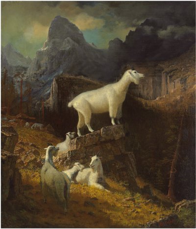 Chèvres des montagnes Rocheuses, vers 1885 - Albert Bierstadt