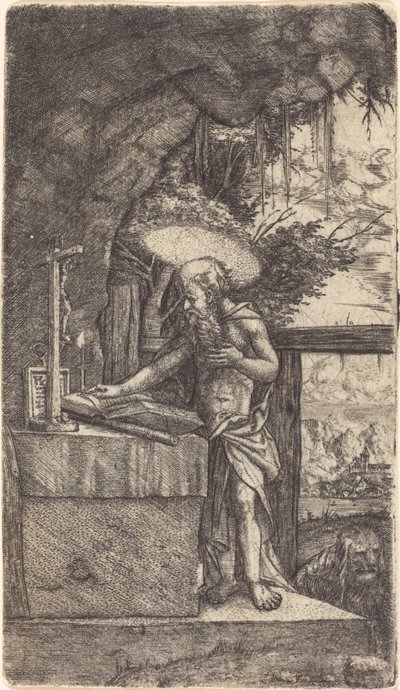 Saint Jérôme lisant - Albrecht Altdorfer