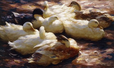 Canards sur une Rive - Alexander Koester