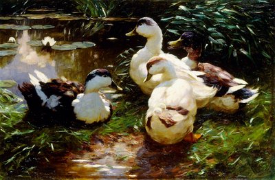 Canards sur une rive - Alexander Koester