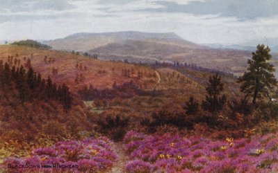 Blackdown depuis Hindhead - Alfred Robert Quinton