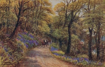 Clovelly, The Hobby Drive - Alfred Robert Quinton