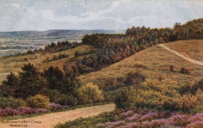 Gibbet Cross, Hindhead - Alfred Robert Quinton