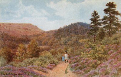 Hindhead - Alfred Robert Quinton