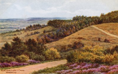 Vue depuis Gibbet Cross, Hindhead - Alfred Robert Quinton