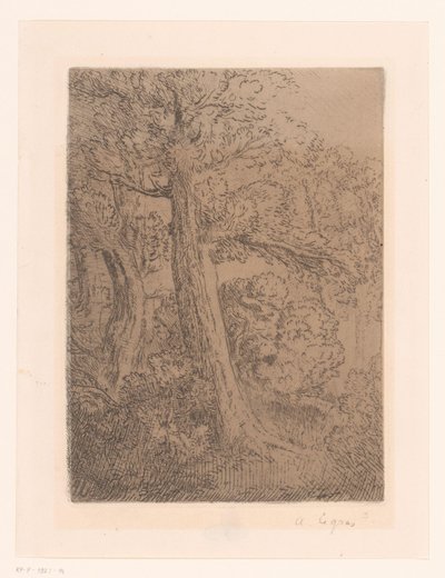 Deux arbres - Alphonse Legros (signed by artist)