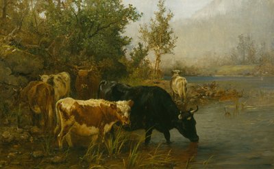 Vaches près de l