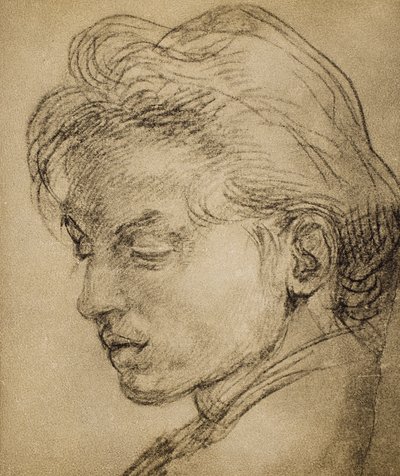 Tête virile de profil - Andrea del Sarto