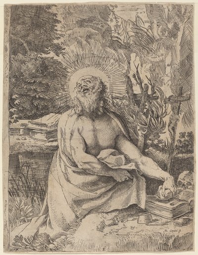 Saint Jérôme dans le désert - Annibale Carracci