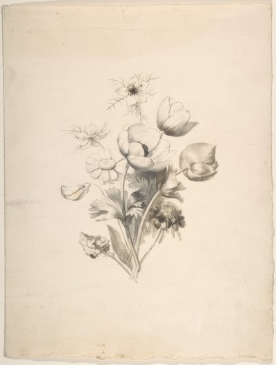 Motif floral - Antoine Berjon