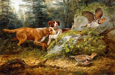 Chasse au tétras, 1857 - Arthur Fitzwilliam Tait