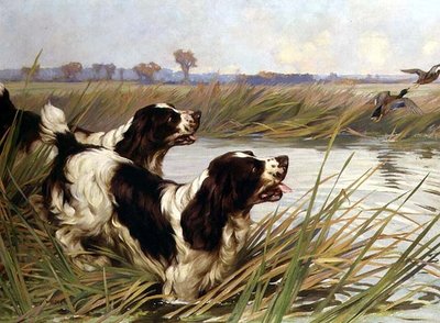 Deux springers chassant des canards colverts - Arthur Wardle