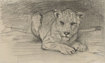 Lionne couchée - August Allebe