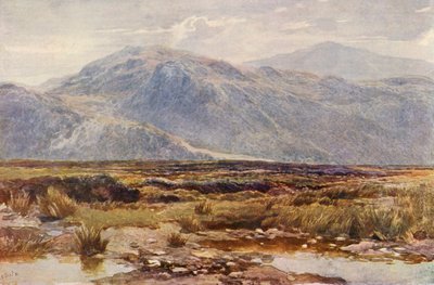 Cader Idris - Augustus Watford Weedon