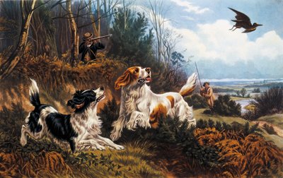 Chasse à la bécasse - Basil Bradley