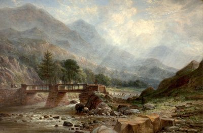 Près de Beddgelert - Benjamin Shipham