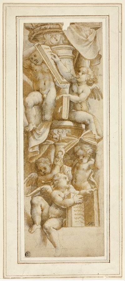 Cinq Putti avec des Livres - Bernardino Gatti